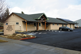 Bend_Animal_Hospital_017
