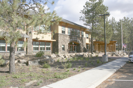 ForestService_021