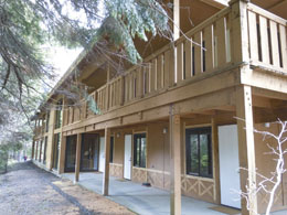 Tamarack_2
